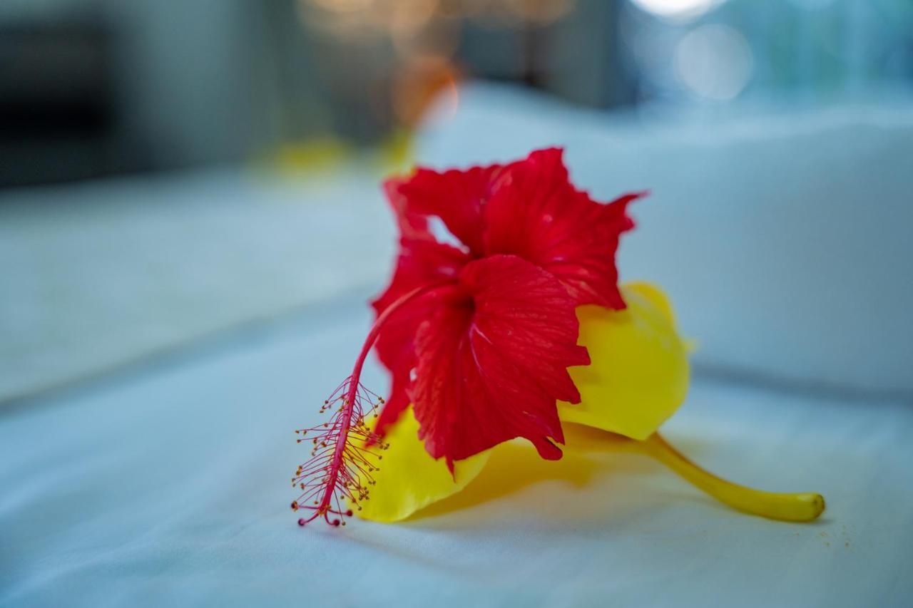 Paradise Breeze Apartment Misere ภายนอก รูปภาพ